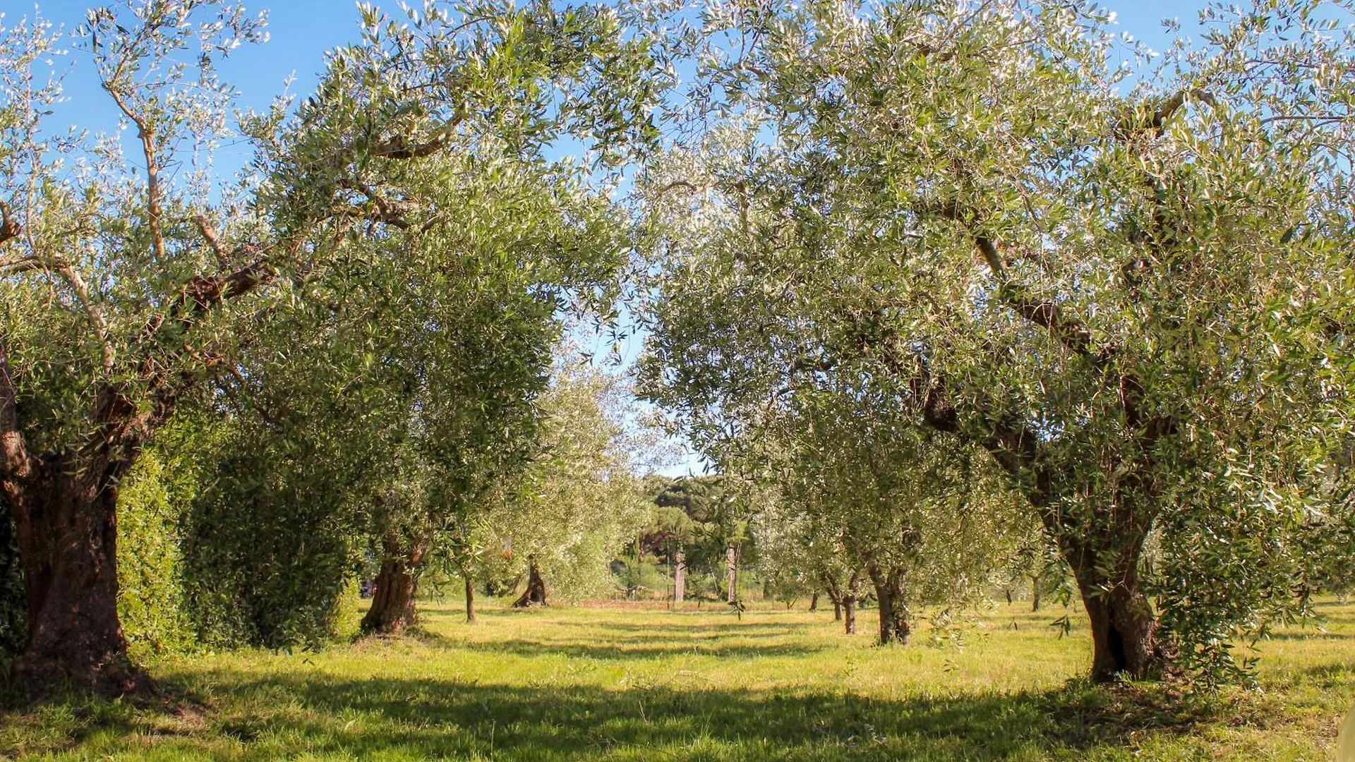 Apartmán Bed & Bike Casa Dei Papi Portoferraio